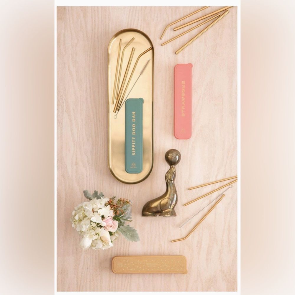 DESIGNWORKS INK Wish Upon a Straw Gold Reuseable Straw Set Straws &  Brushes